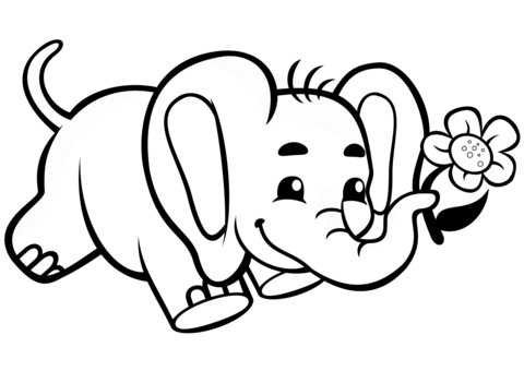 Cute Baby Elephant With Flower Coloring Page